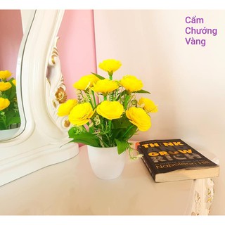 bộ hoa tự làm cẩm chướng.35k kèm chậu,combo 220k