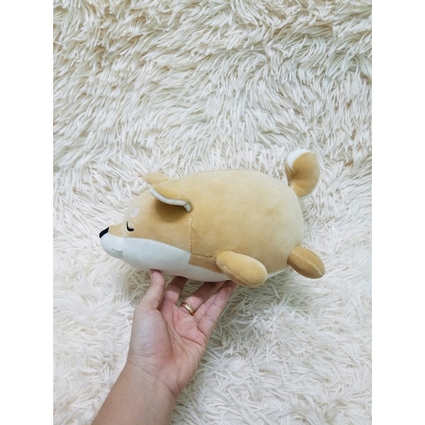 Gấu bông chó Shiba mềm mịn như miniso