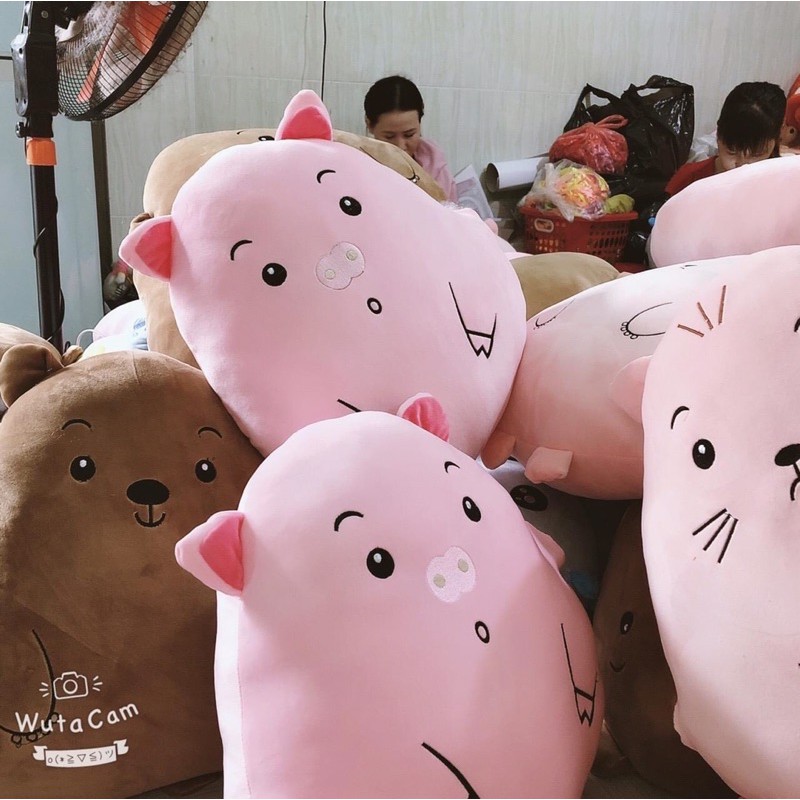 Gấu bông Animal size 50cm béo ú cute, Gối ôm vải miniso có dây kéo, Xưởng Sỉ Gấu Bông Mua Lẻ Giá Sỉ