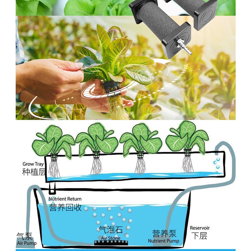 1 Đá Sủi Bọt Khí Oxy Cho Bể Cá