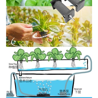 1 Chiếc Hình Cầu Bong Bóng Đá Đá Đầu Cát Khuếch Tán Đá Bể Cá Bong Bóng Đá Khí Bể Cá Oxy Hóa Bể Cá
