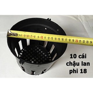 10 cái chậu trồng lan phi 18 cm
