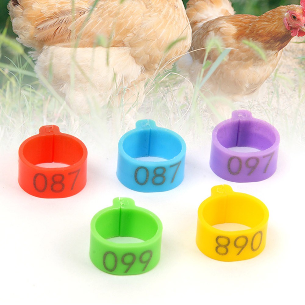 100 chiếc hoặc 50 chiếc / túi vòng kẹp chân đường kính bên trong 16mm đồ dùng trang trại vòng đeo chân vòng 6 màu ngỗng gà nhựa 001-100 vịt được đánh số thiết bị chim / nhiều màu