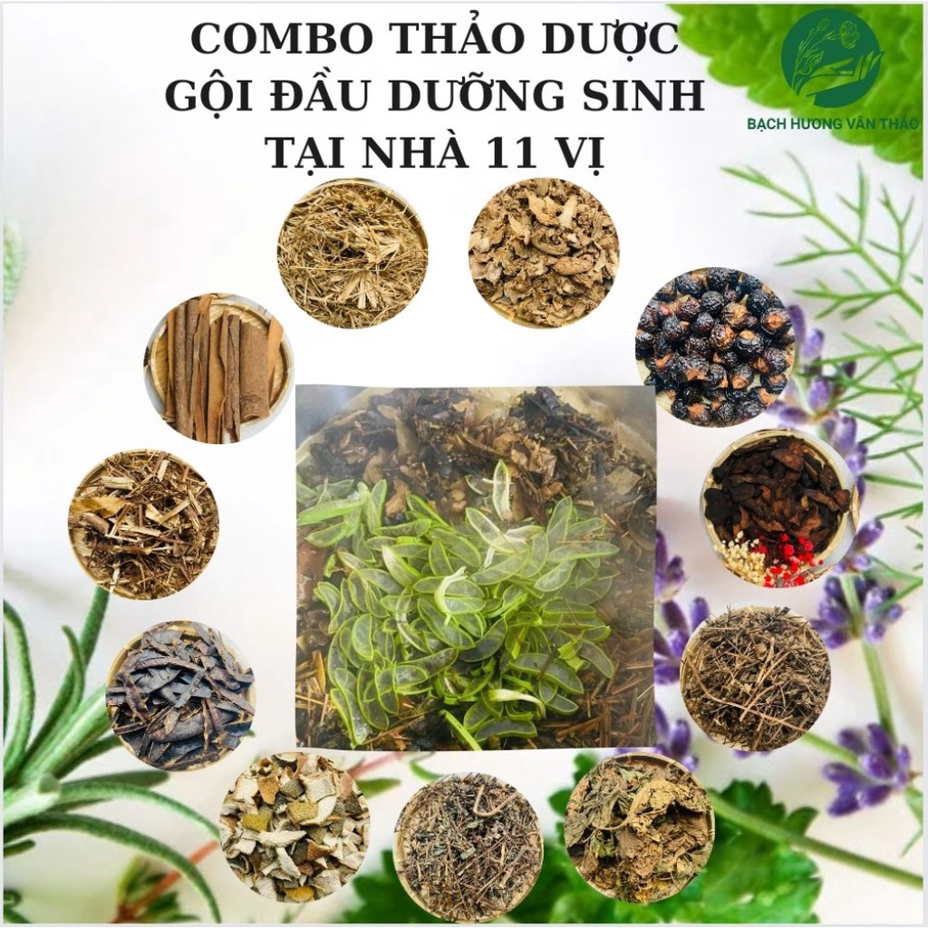 Set combo thảo dược gội đầu dưỡng sinh tại nhà, dầu gội bồ kết, hà thủ ô,tinh dầu, BẠCH HƯƠNG VÂN THẢO