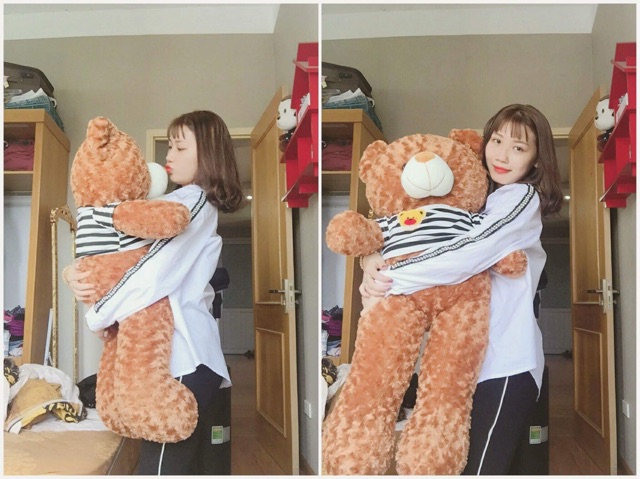 Gấu teddy 1m