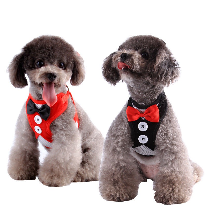 ◑㍿Dây xích cho chó Con nhỏ Vest Phong cách Teddy Bichon Dog đi bộ mèo đeo ngực Đồ dùng thú cưng