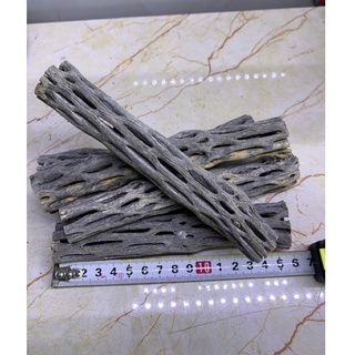 Lũa Cholla đa công dụng trong bể tép