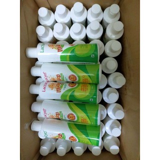 Sữa tắm gội lactacyd milky 250ml