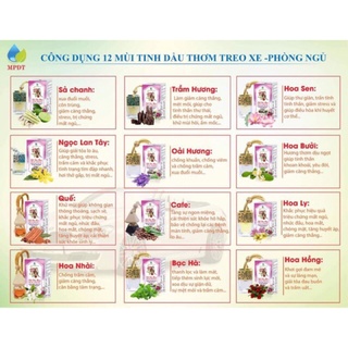 Xả Tinh dầu thơm Ngân Bình