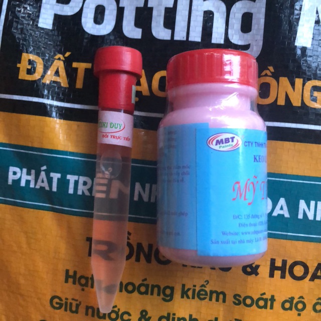 Kích Ki Duy pro (Keiki duy đỏ) và keo liền da