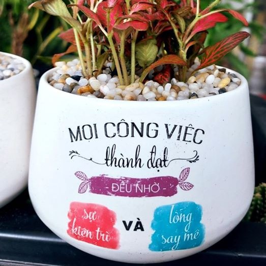 [IN HÌNH VẼ CHỮ THEO YÊU CẦU] Chậu Sứ Trồng Cây Cảnh Để Bàn, Sen Đá, Xương Rồng, Terrarium- Mẫu kim cương
