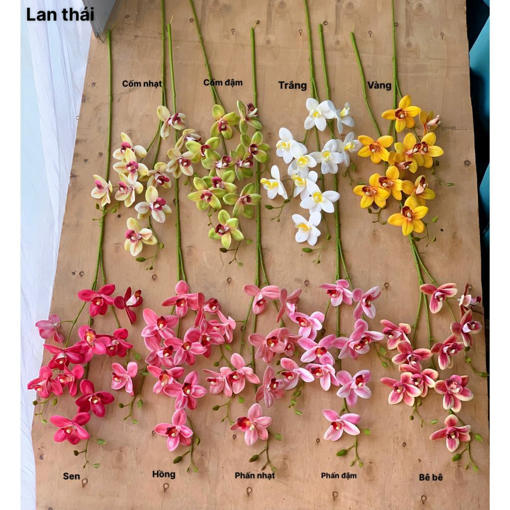 HOA GIẢ 🌺HOA LAN THÁI CAO SU
