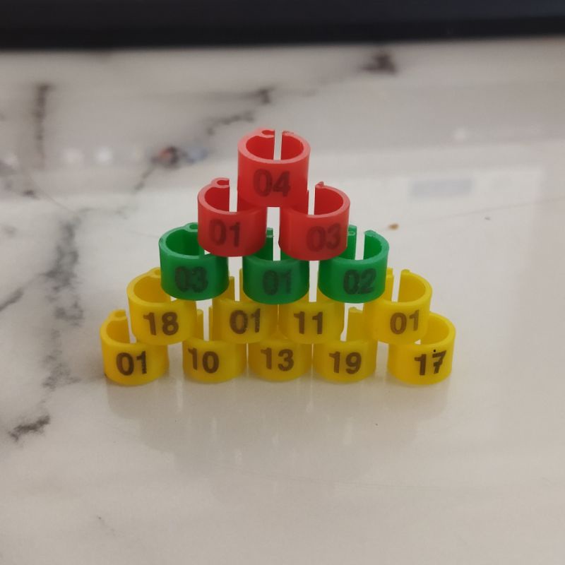 SET 10_40 VÒNG ĐEO CHÂN CHIM CU GÁY 6.5MM