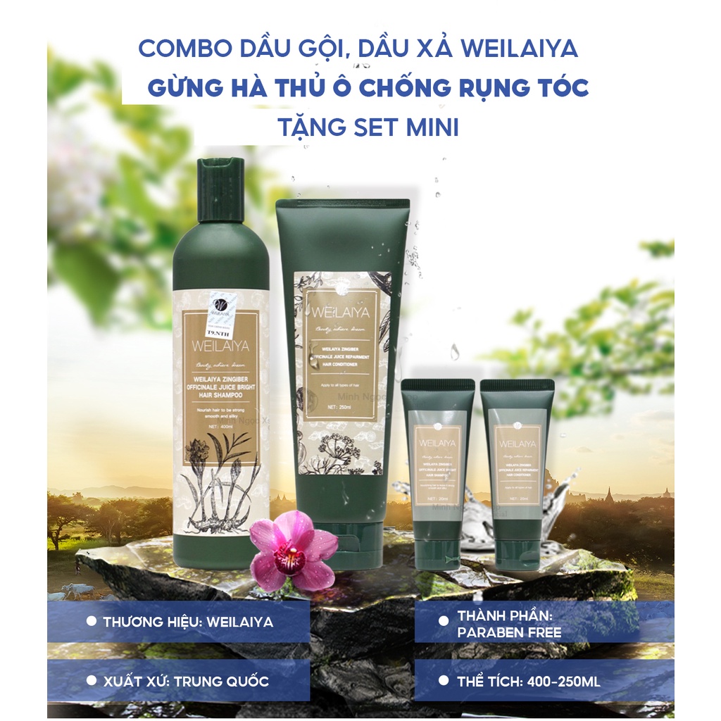 Combo dầu gội xả gừng hà thủ ô WEILAIYA ZINGIBER OFFICINALE JUICE chống rụng kích mọc tóc 400ml + 250ml tặng set mini
