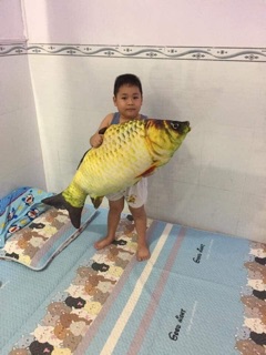 Gối cá chép bông