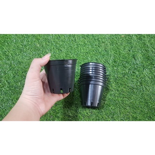 Combo 10 chậu đen trồng lan phi 8cm