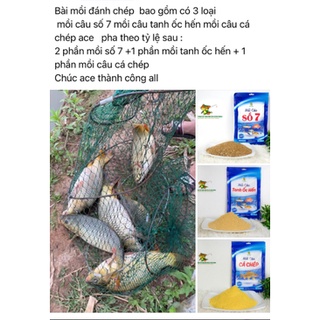 Câu cá chép - Hãng mồi câu cá Phú Thành