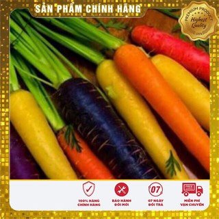 Hạt Giống Cà Rốt Nhiều Màu(100 hạt)