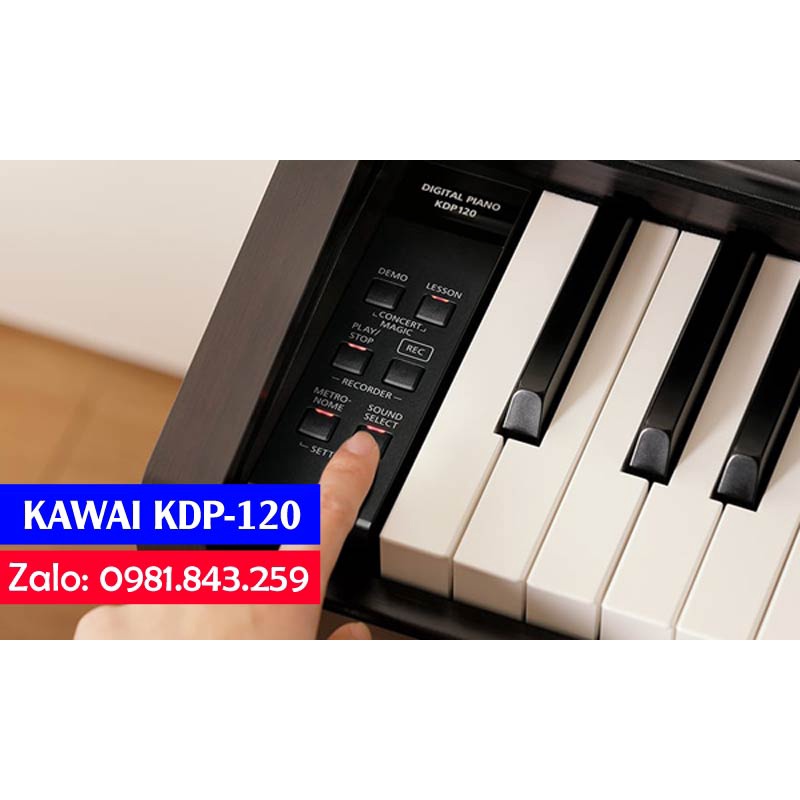 Kawai KDP-120 Đàn piano điện tử cho người mới học
