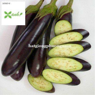 Hạt giống Cà Tím Dài F1 1gram
