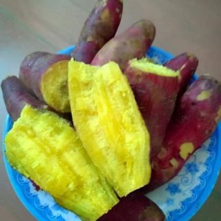 Khoai lang Nhật siêu ngon, siêu ngọt 25k/kg