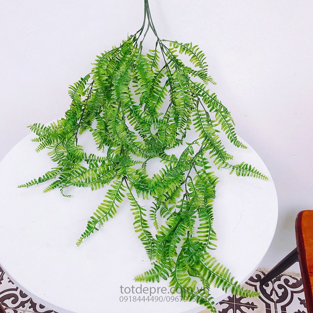 Chùm Cây Dương Xỉ Leo - Cây Giả Cao Cấp
