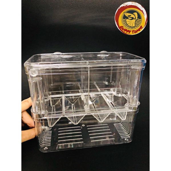 Lồng đẻ Mica (lồng đôi - lồng đơn) cho cá cảnh,tách cá con mới đẻ,dưỡng cá