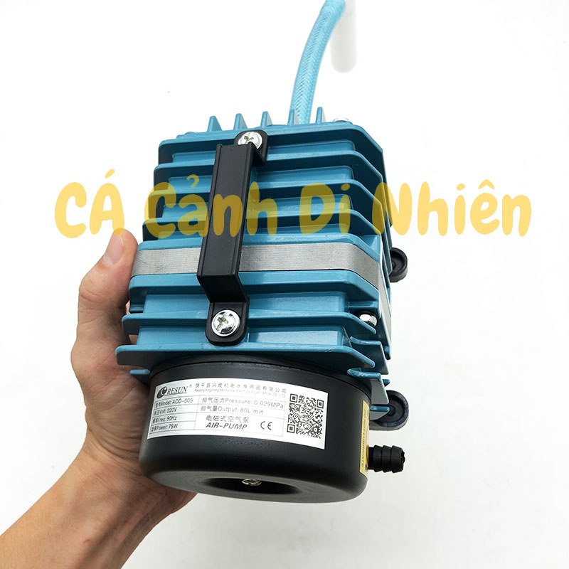 Máy sục sủi thổi khí oxy hồ cá cảnh Resun ACO-005 - Máy Oxy Bể Cá 75W