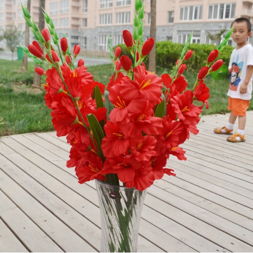 HOA KIẾM LAN Gladiolus VẢI LỤA CÀNH DÀI 80CM LIZ95