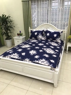 Set ga gối cotton