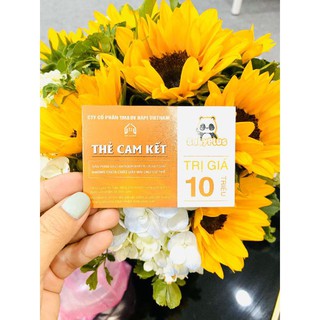 BABYPLUS Giá Sỉ 5 Hộp Siro Ăn Ngon Baby Plus, Giúp Bé Ăn Ngon, Ngủ Ngon, Tăng Cân, Tăng Đề Kháng