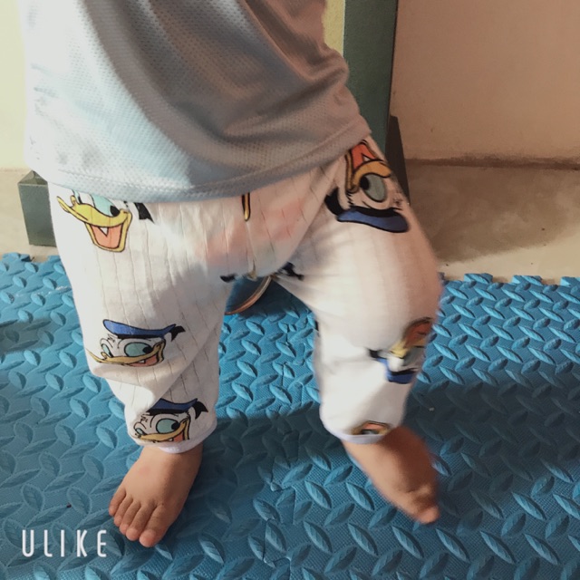 Combo cho uyên