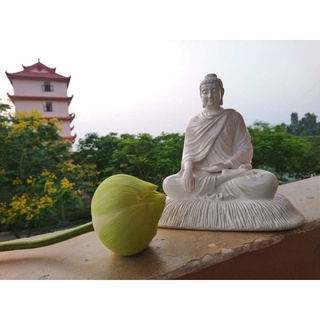 Tượng Phật Thích Ca cao 21cm