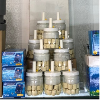 Lọc bio chế size trung