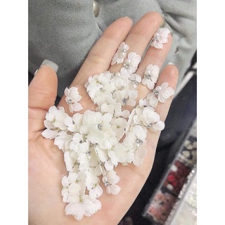 [PHỤ KIỆN NAILS] Hoa Bột RUBY Màu Trắng