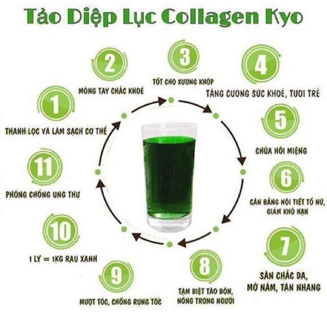 TẢO DIỆP LỤC - COLLAGEN , tăng cường nội tiết tố phụ nữ, giúp da sáng min, chống lão hóa. | BigBuy360 - bigbuy360.vn