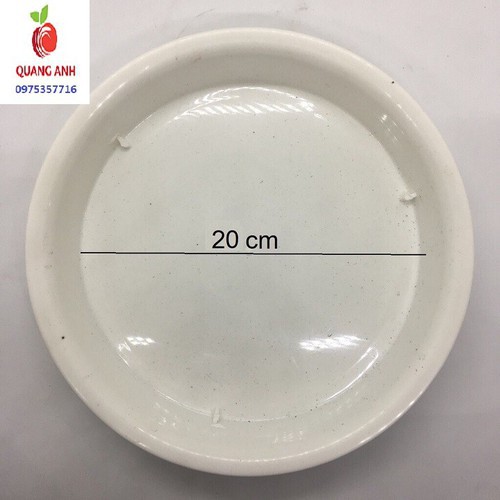 ĐĨA LÓT CHẬU CÂY PHI 20CM