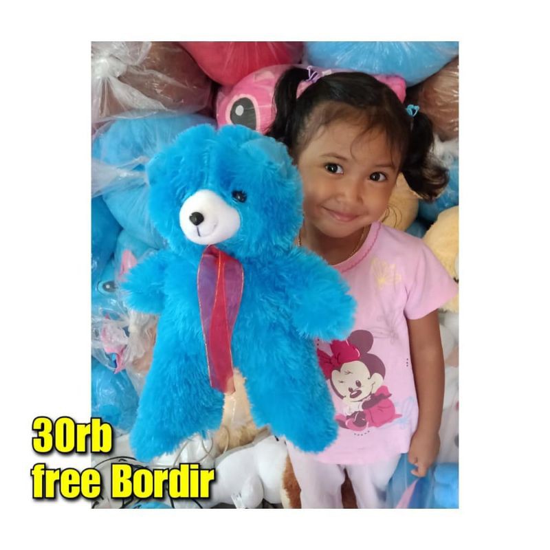 Thú Nhồi Bông Hình Gấu Teddy Thêu Teddy 30cm