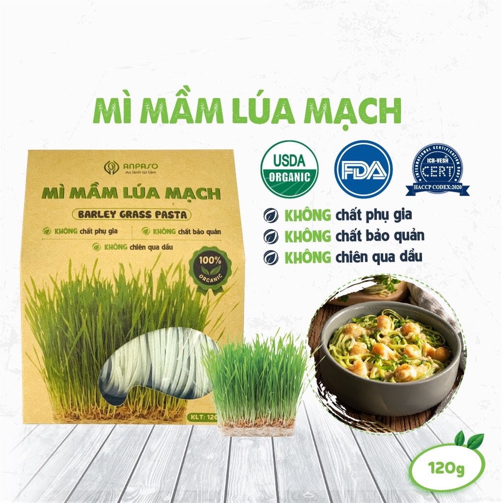 [Giao Hoả Tốc HCM] Mì Eatclean Mầm Lúa Mạch Organic Anpaso 300g/120g
