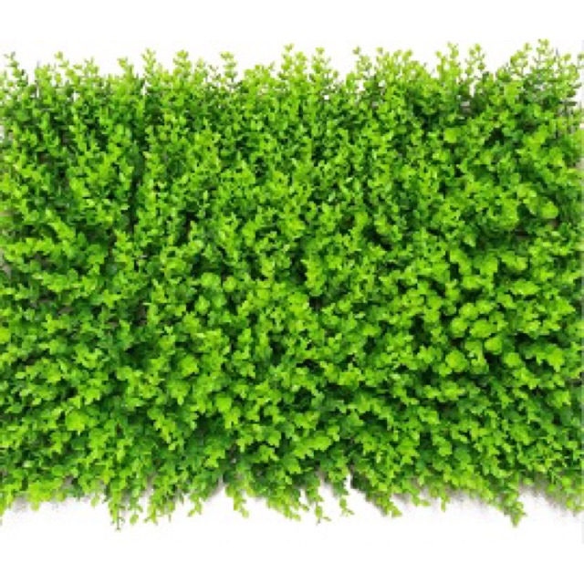 Cỏ vảy ốc nhân tạo