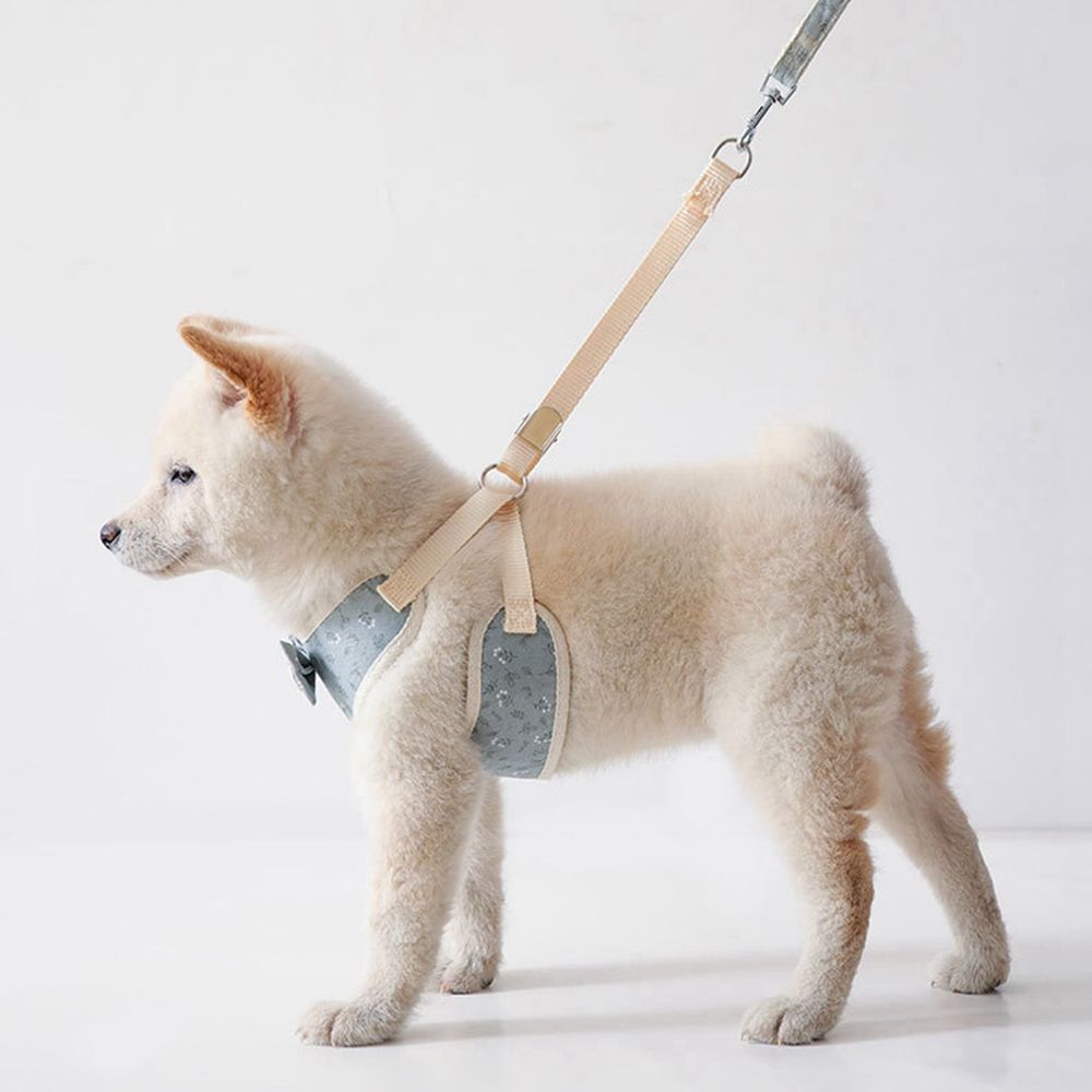 Dây dắt thú cưng đi dạo mềm mại thoáng khí có thể điều chỉnh nhiều màu sắc