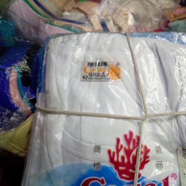 Free ship  Áo thun lót Coral có tay