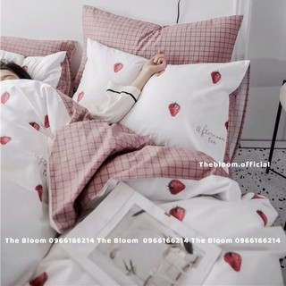 Set Chăn Ga Gối Cotton poly 4 Món - Quả Dâu