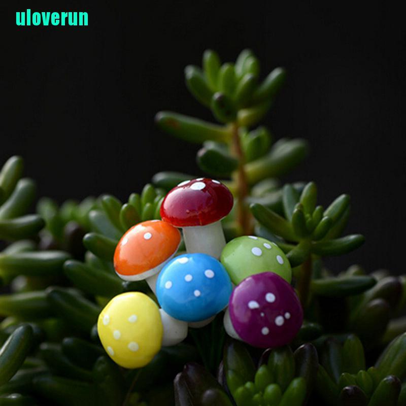 Cây Nấm Mini Trang Trí Sân Vườn Xinh Xắn