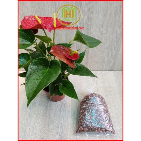 Phân 3 màu phân NPK đầu trâu 20-20-15 gói 1kg ra hoa đậu trái