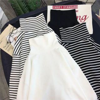 [Order 7-10 ngày] Pull dài tay cổ cao