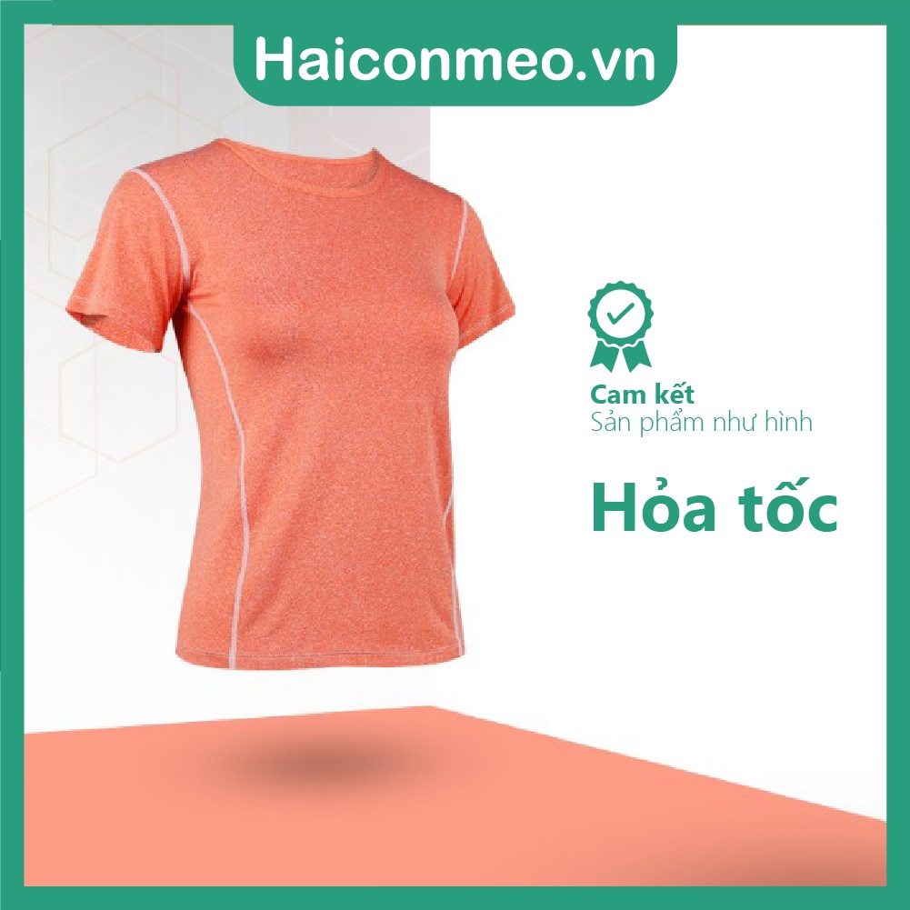 Áo thun thể thao nữ tập gym yoga co giãn thoáng khí