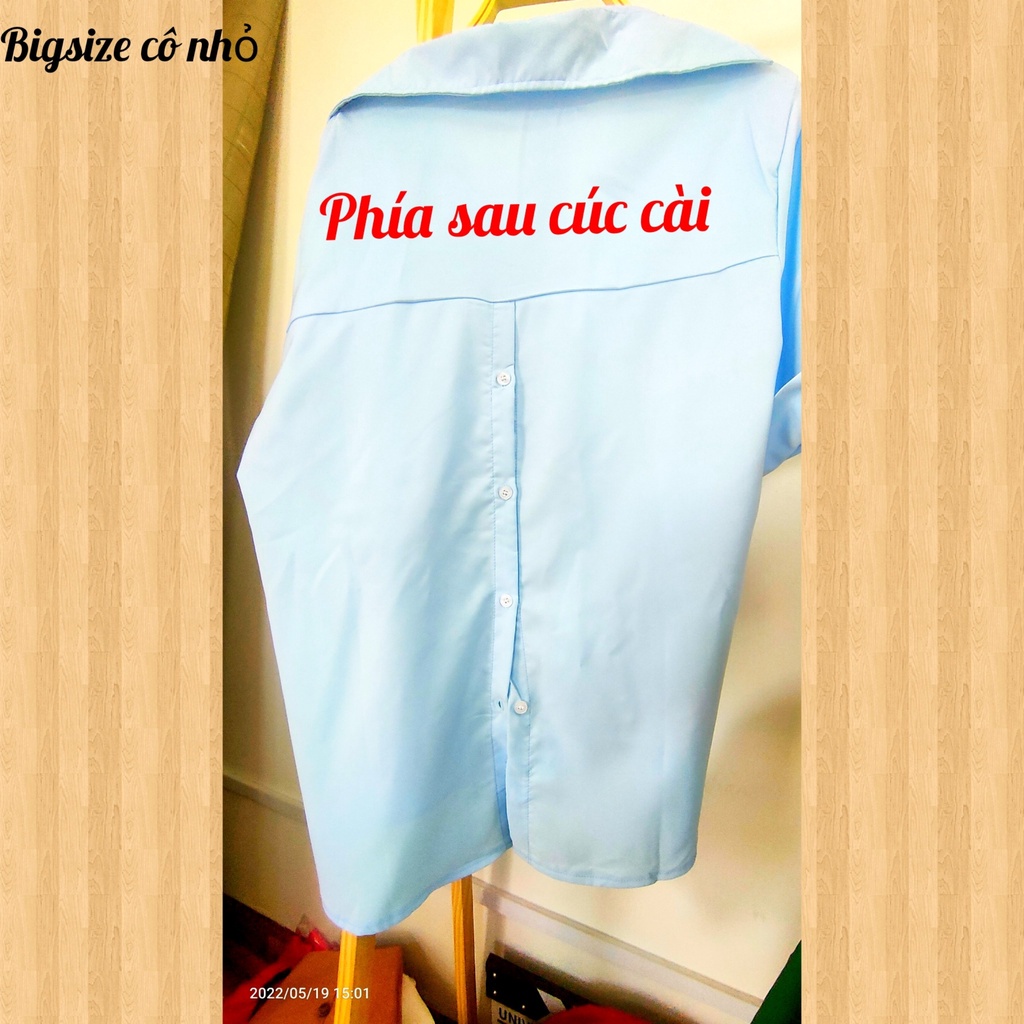 Áo sơ mi bigsize nữ tay ngắn kiểu xẻ lưng có cúc, Áo kiểu bigsize nữ AT10