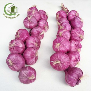 Dây hành tím giả - trái cây củ quả giả cao cấp