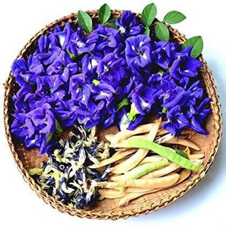 Hoa đậu biếc khô 10g